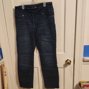 Lee Women's Deep Indigo Slim Fit Slim Leg Mid Rise 10 Short